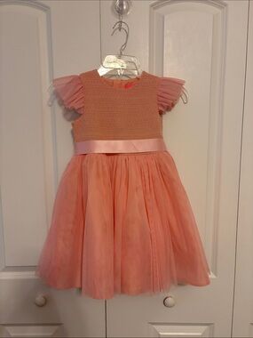 Holly Hastie Sugar Pink Confetti smocked and embroidered tulle dress Size 6